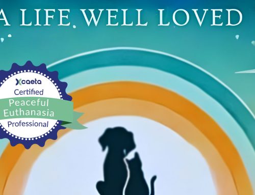 A Gentle Goodbye: The Profound Impact Of In-Home Euthanasia