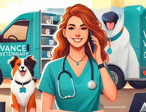 Simplifying Pet Care! The advantages of Online Scheduling.