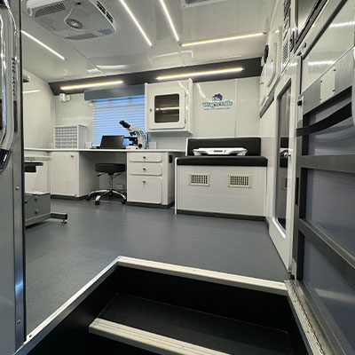 Interior of a modern mobile veterinary laboratory with a microscope on a desk, office chair, equipment cabinets, and bench seating—all in a white and gray color scheme—viewed from the entrance steps; ideal for vets on the go.