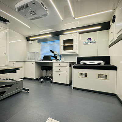 A clean, modern mobile veterinary clinic interior featuring medical equipment, a microscope on a desk, examination table, cabinets, a bench seat, and bright overhead lighting—perfect for any vet or veterinarian on the go.