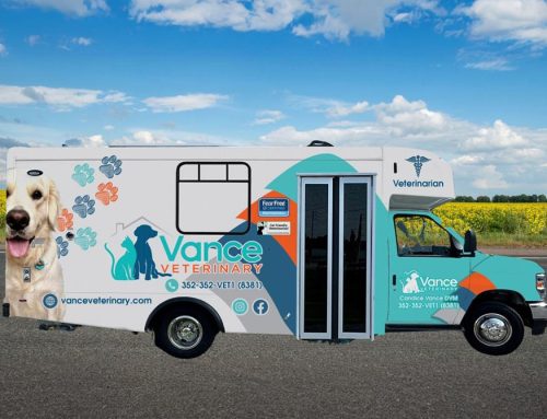 The Benefits Of Mobile Veterinary Care