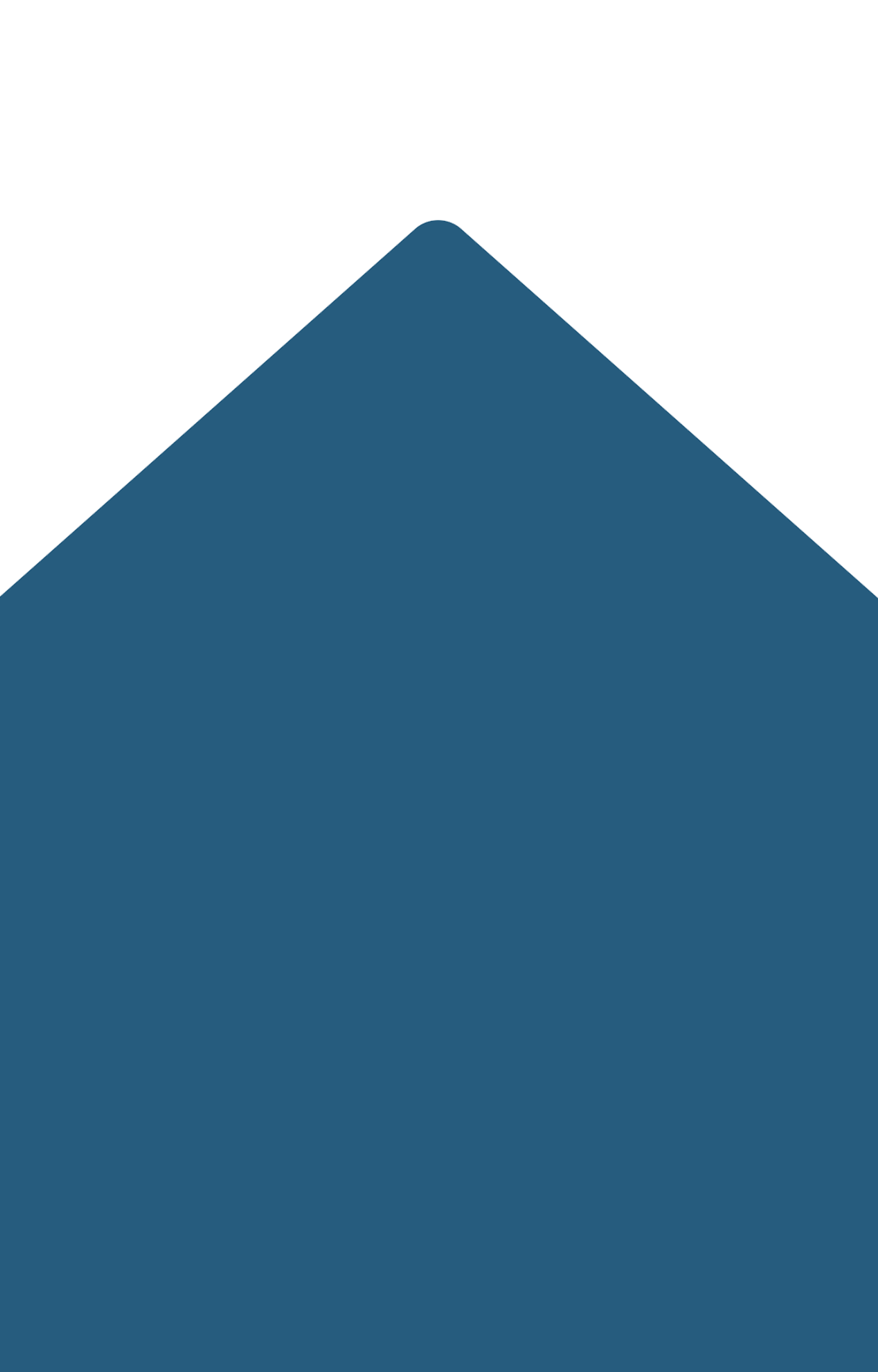 A simple graphic showing a blue, upward-pointing pentagon shape with a flat white background. The pentagon’s top forms a peak, resembling the roof of a house—perfect for representing a vet clinic or veterinarian’s office.